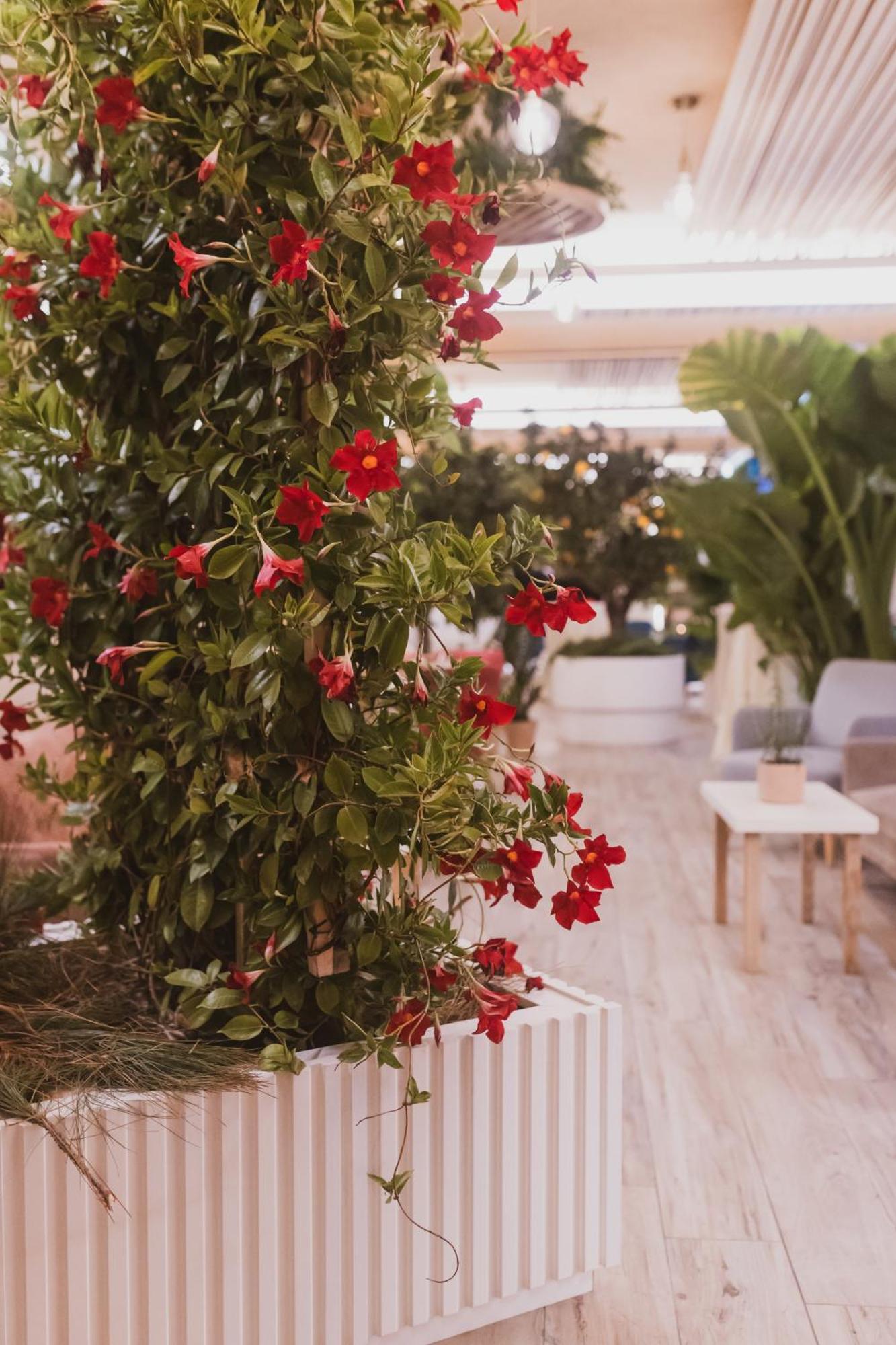 Sentido Michelizia Tropea Resort ภายนอก รูปภาพ